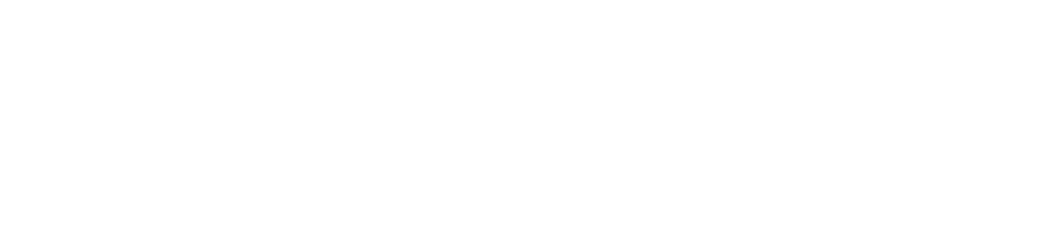 ZonaPro